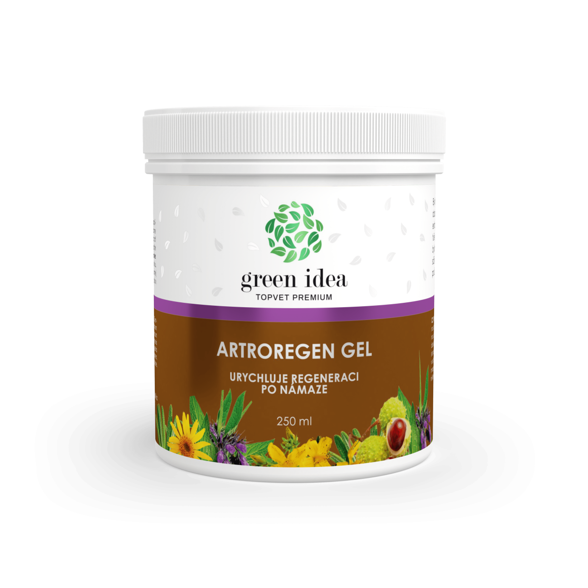 GREEN IDEA Artroregen masážní gel 250 ml
