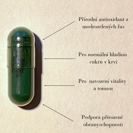 Spirulina bylinný extrakt - tobolky