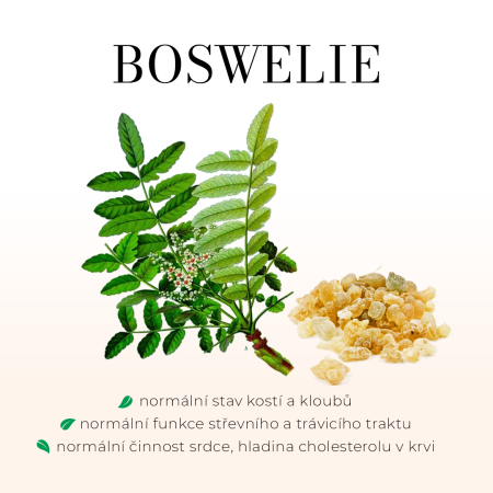 Boswelie